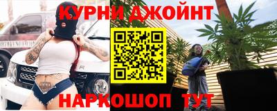 гидра Заводоуковск