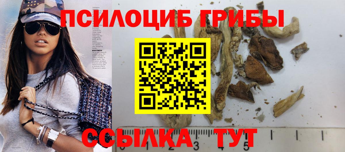 Арзамас  Галлюциногенные грибы GOLDEN TEACHER  сколько стоит  Вход с VPN 