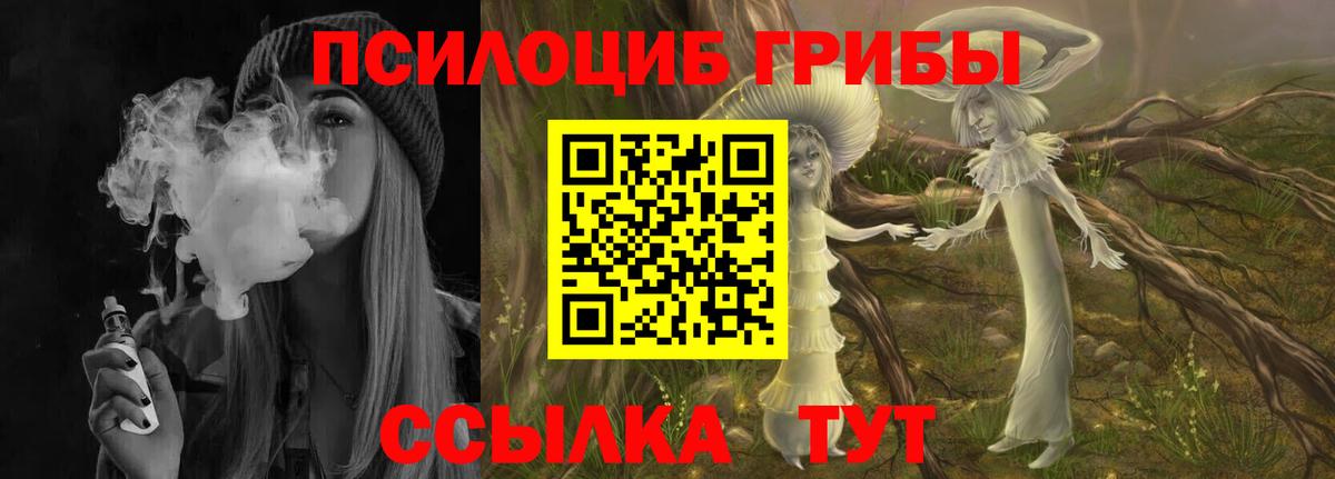 Галлюциногенные грибы Cubensis Арзамас